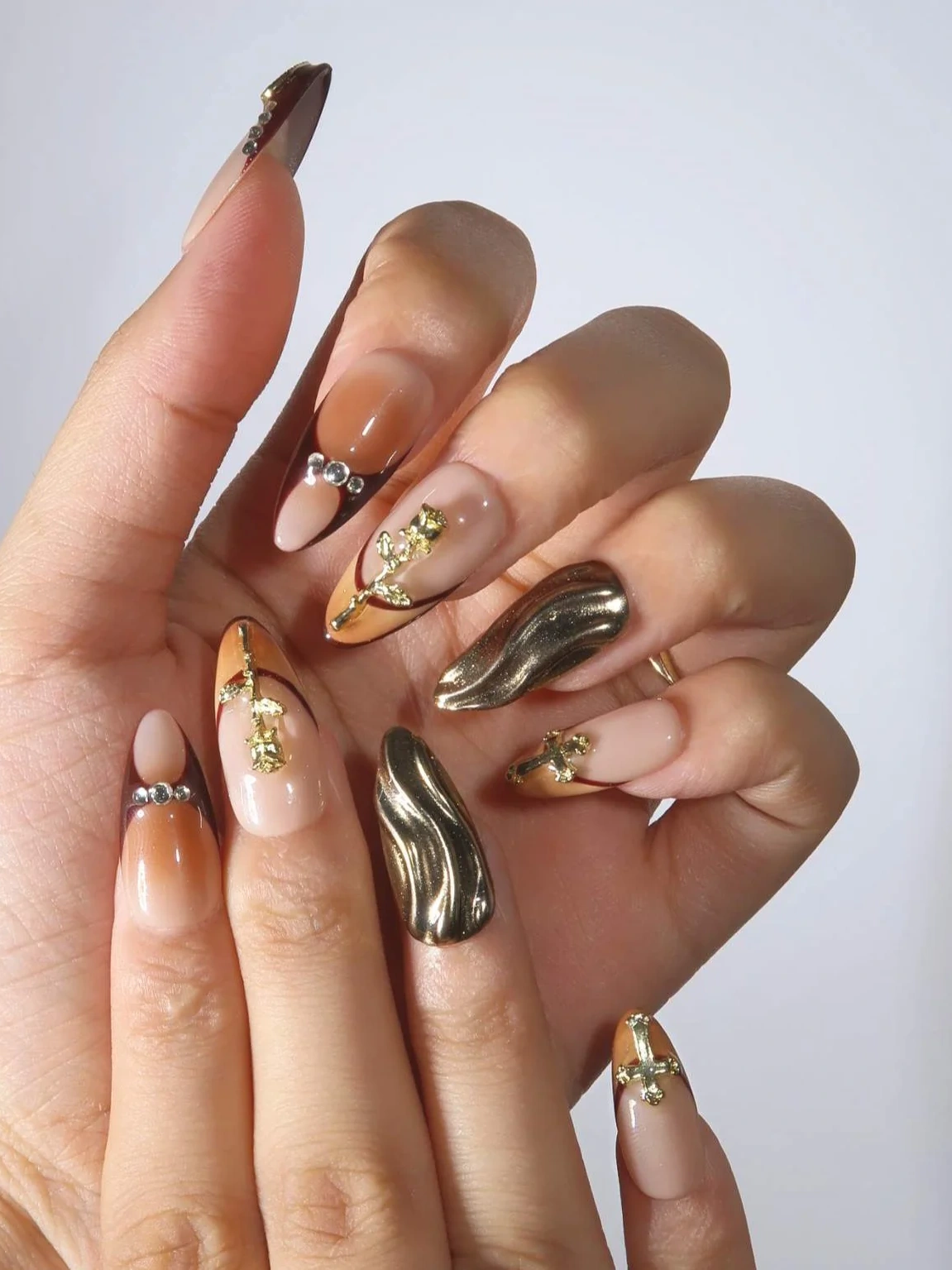 Desert Tortoise · Finger Nail - Image 4