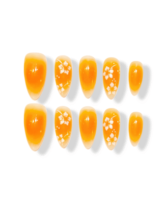 Hibiscus Petal · Finger Nail