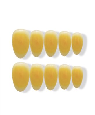 African Sunflower · Finger Nail