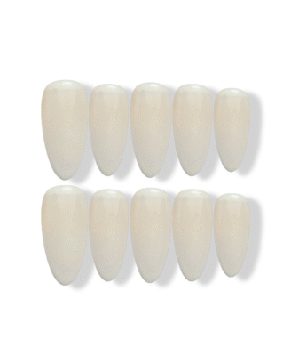 Nails No.251227 · Finger Nail